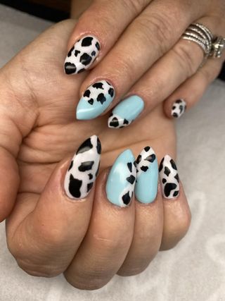 Cow Print and Blue Acrylic Nails