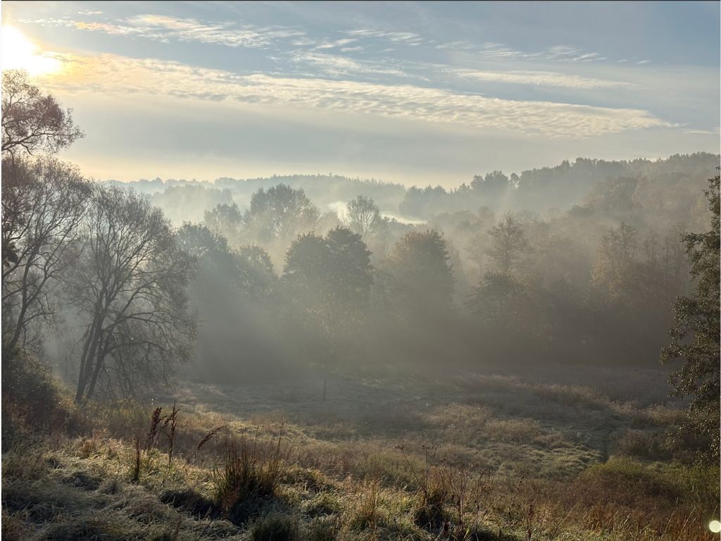 Miško ir pirties potyriai Vilniuje, Trakuose (asmeniui 6-8 asmenų grupėje, 4 val.)