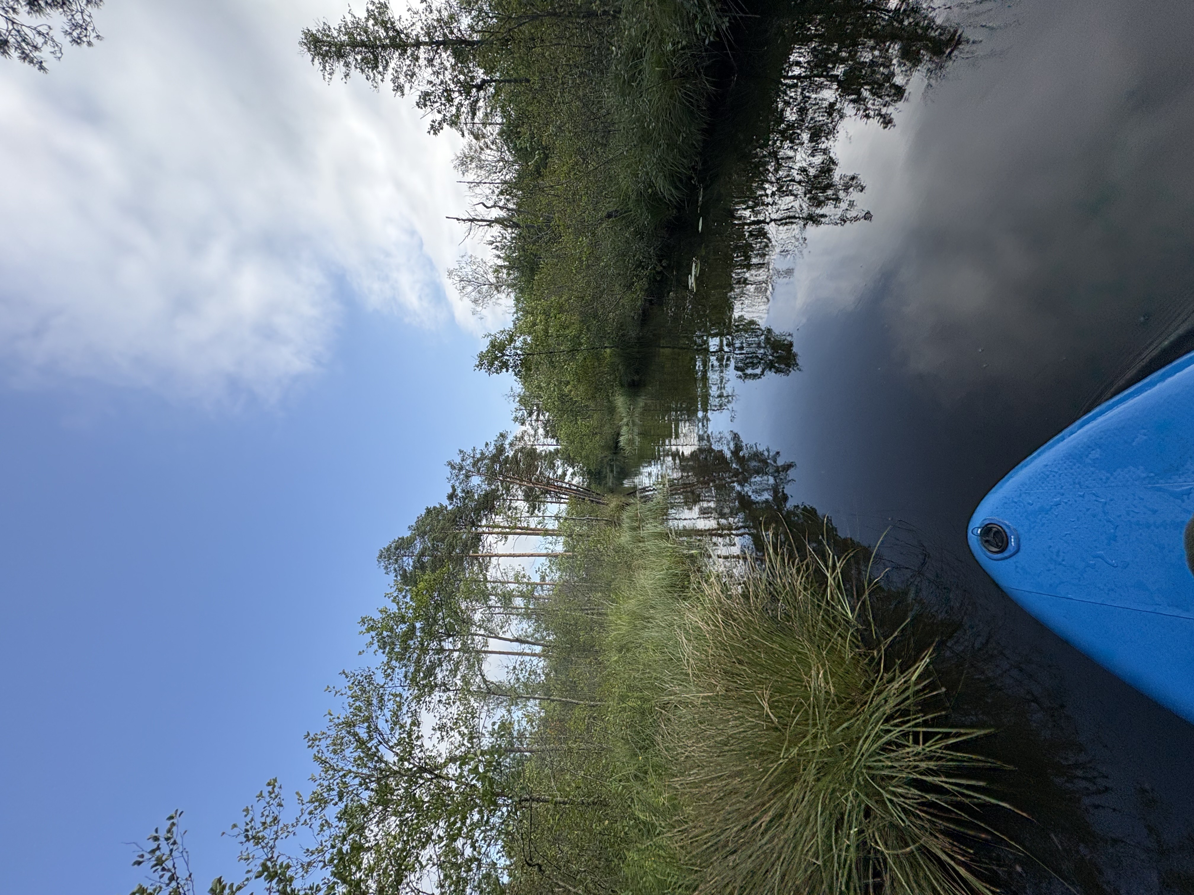 Žygis irklentėmis ir miško maudynės (įrangos nuoma neįskaičiuota)