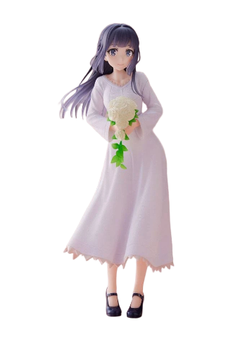 Rascal Does Not Dream of a Dreaming Girl PVC Statue Shoko Makinohara 