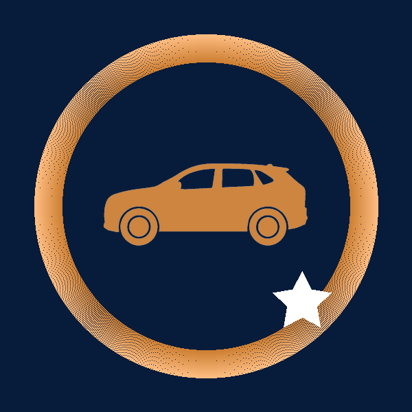 Mini-SUV Bronze Full