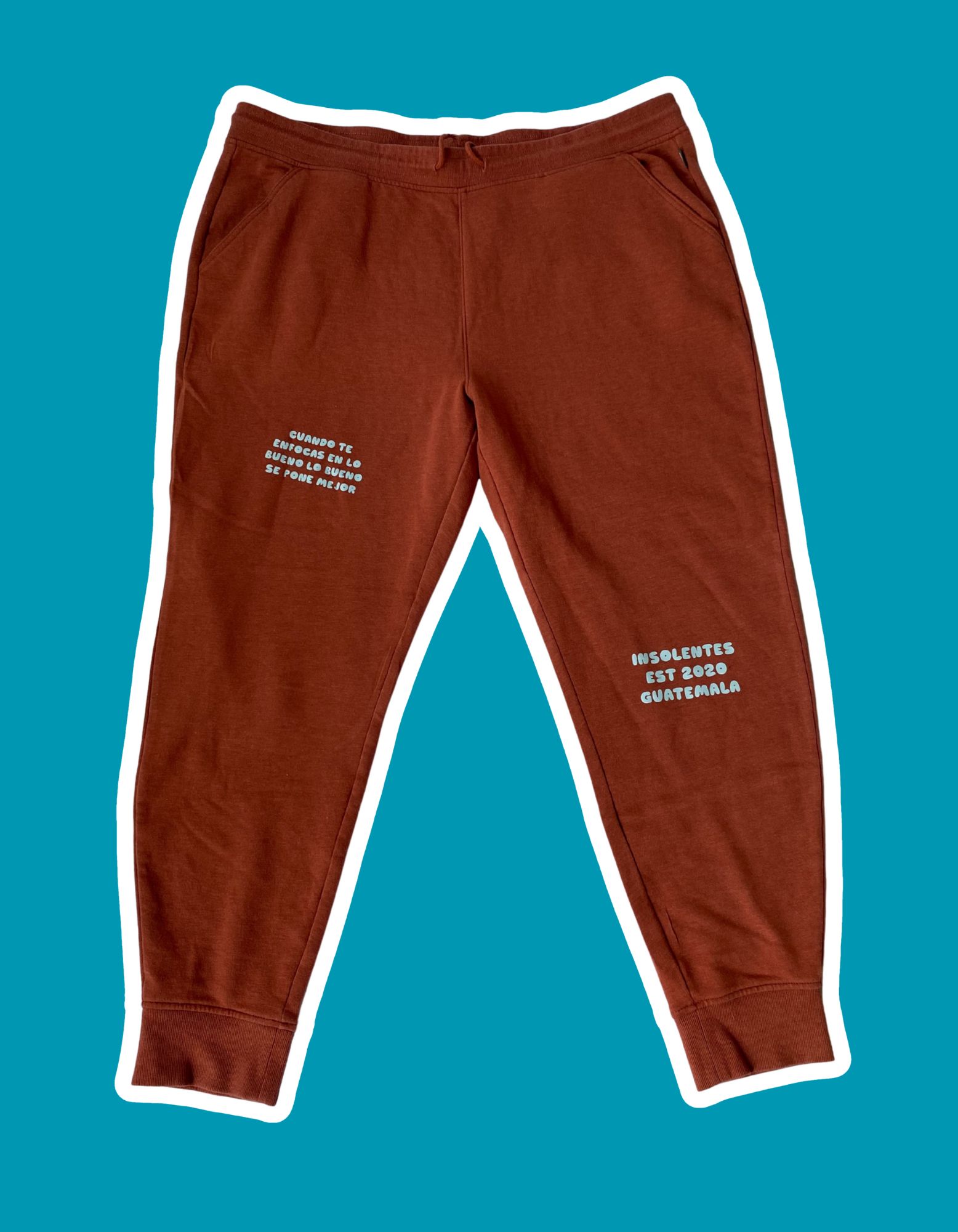 Pants Terracota <3
