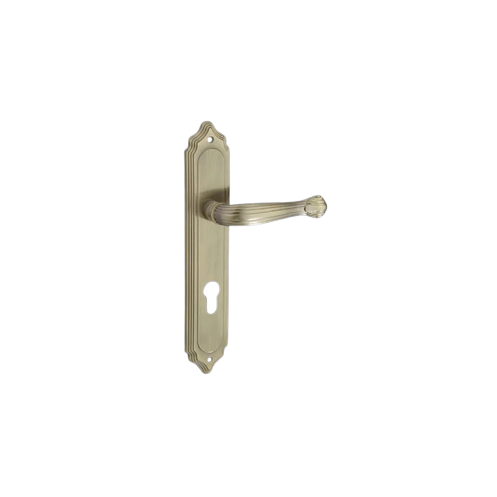 Imperial Crest Door Handle