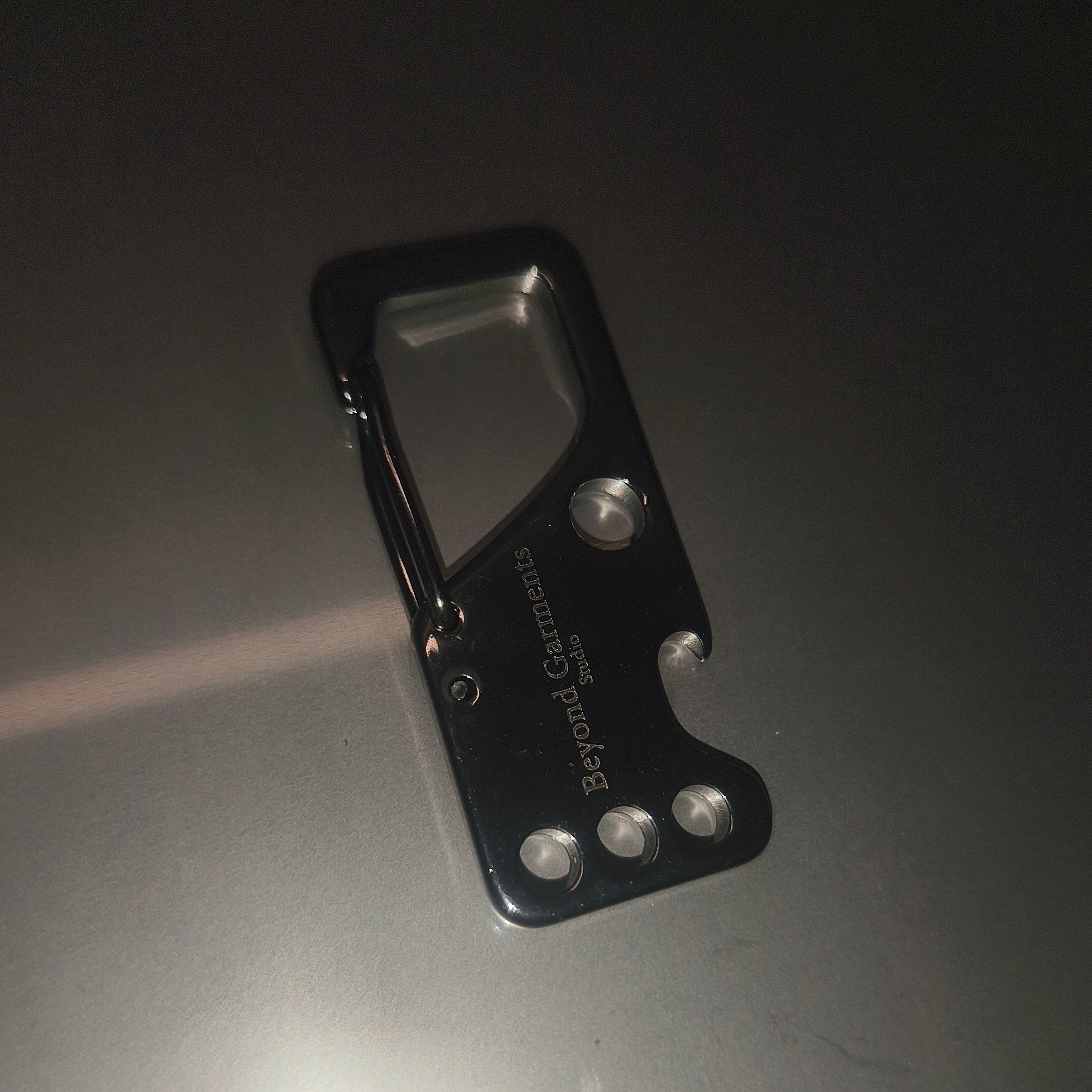 Facebiner Dinamic KeyChain Stainless Steel Carabiner