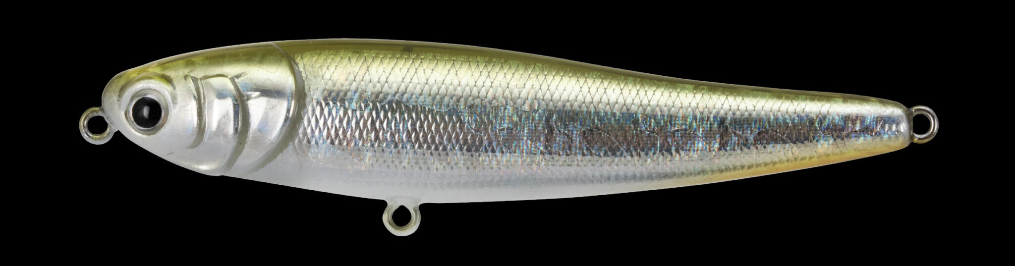 CHIHUAHUA 110