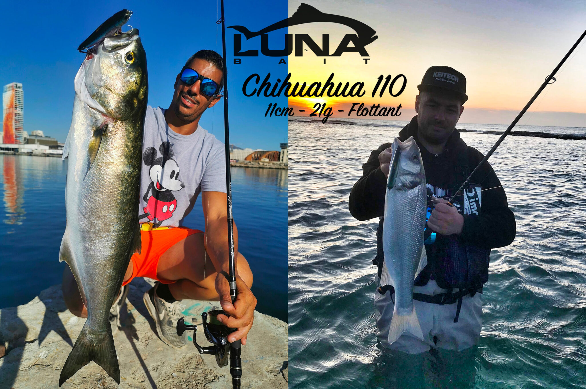 CHIHUAHUA 110