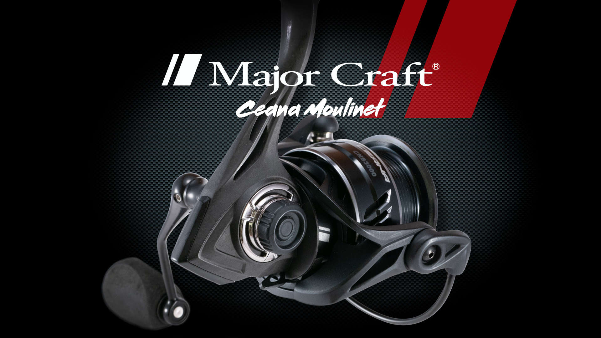 MAJOR CRAFT CEANA