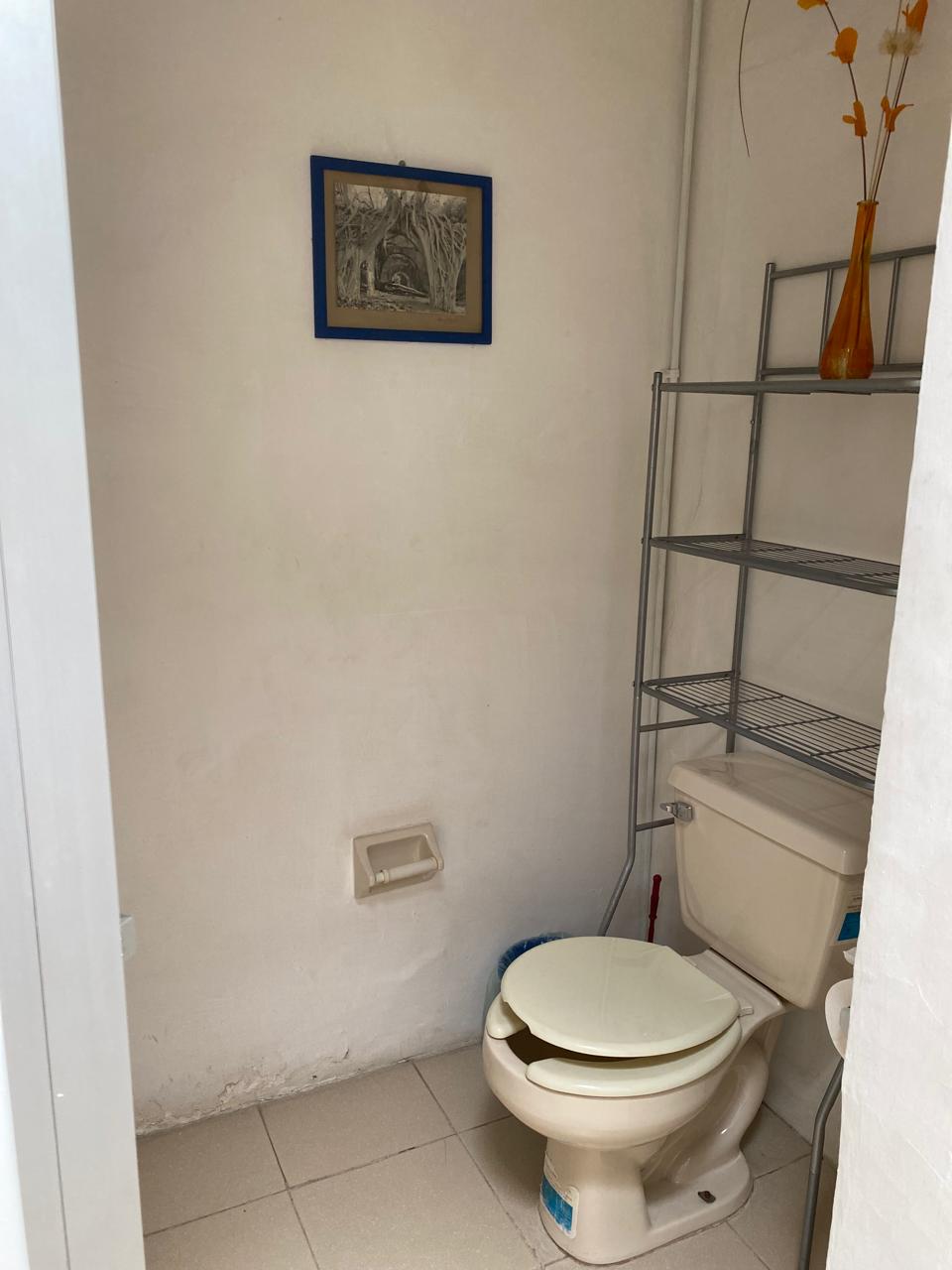 Habitación Jacaranda