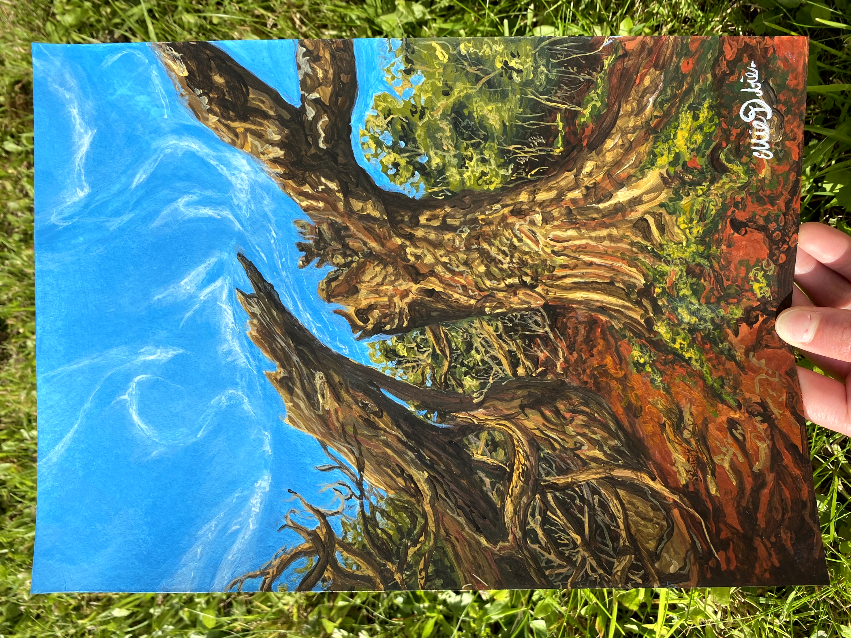 The Tree of Tara Print