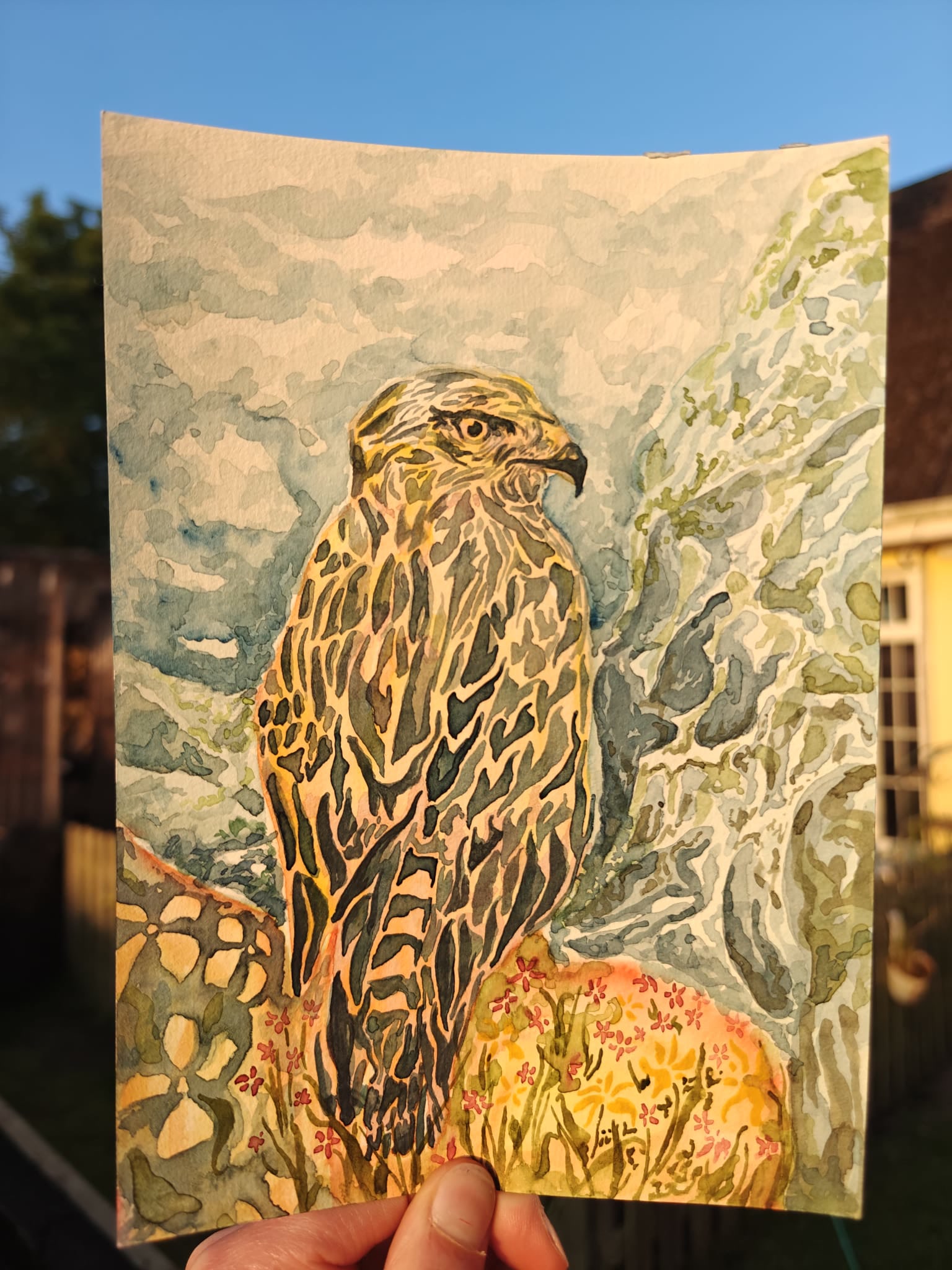 Bird of Prey Print