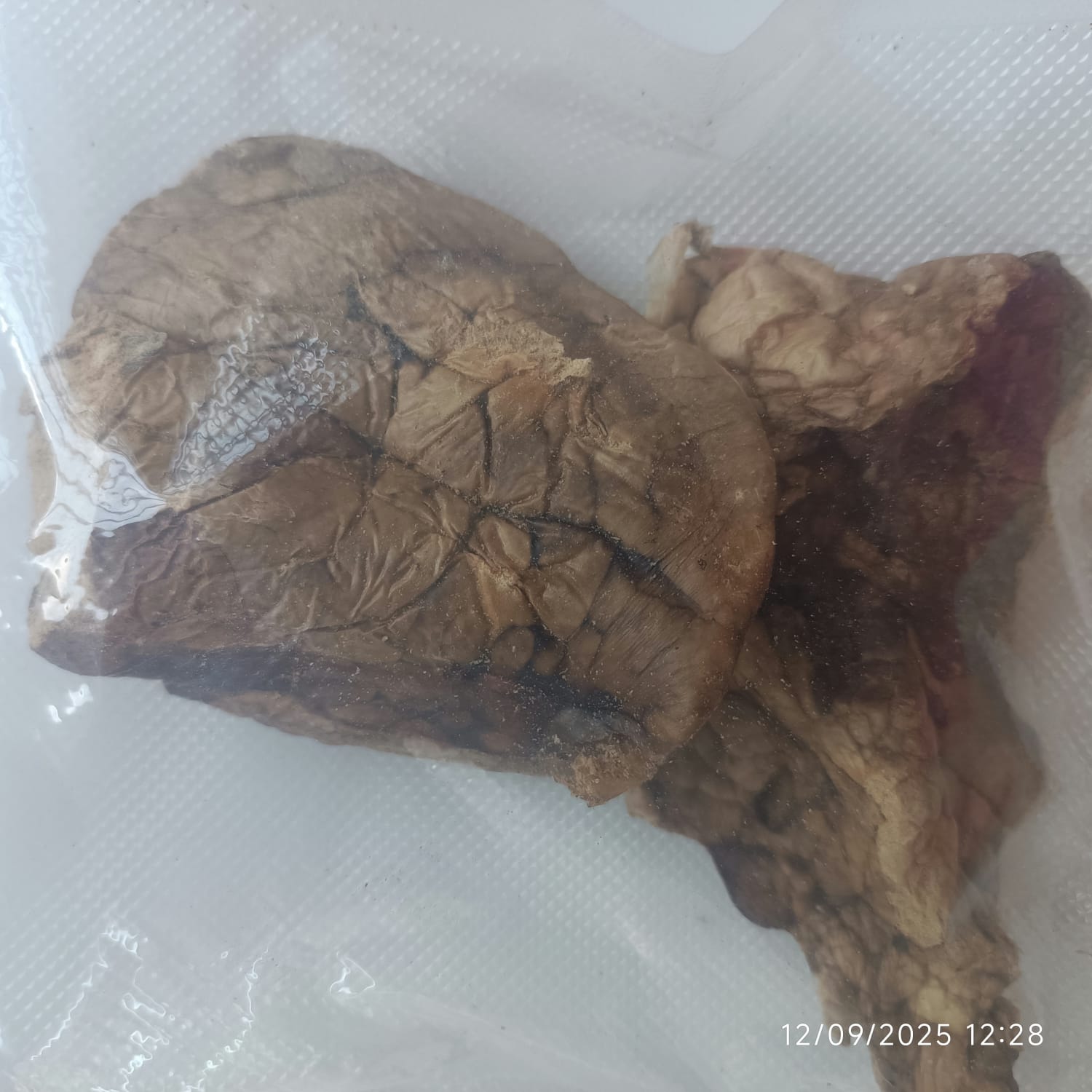 Pulmón (Bofe) de Res Deshidratado