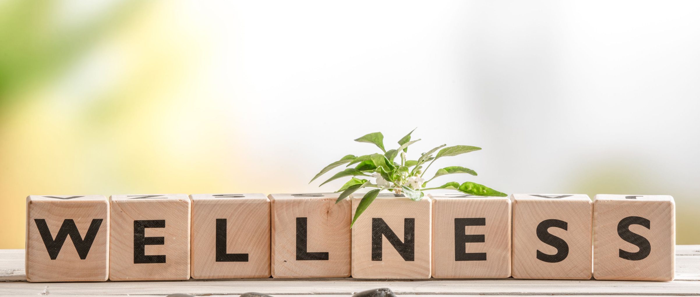 One day 'Retreat to Wellness'