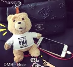 Llavero de Oso de peluche TED DMB cargador celular