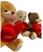 Osos de peluche con corazón - SIN RELLENO -
