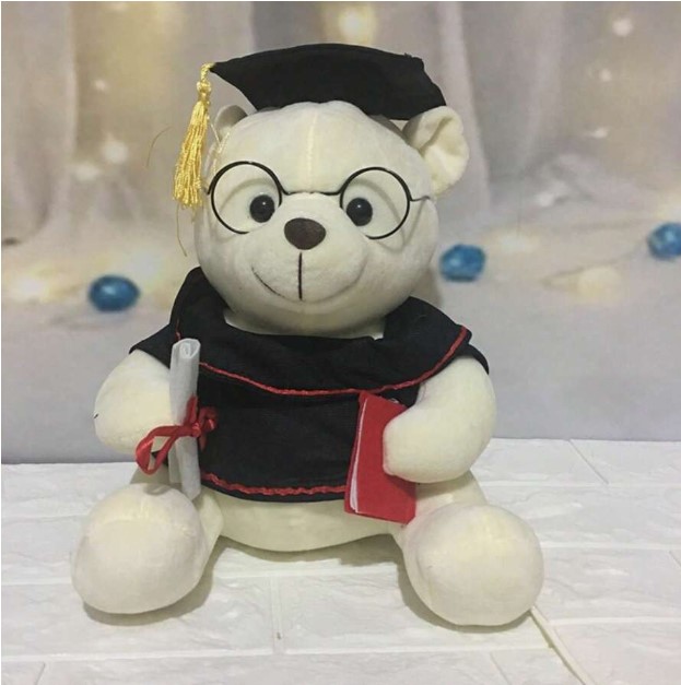 Osos de peluche graduados de 25 cms