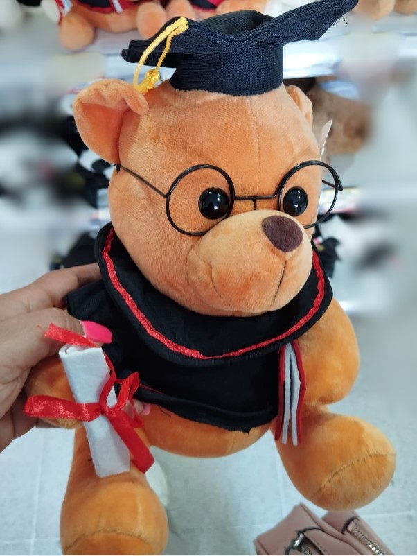 Osos de peluche graduados de 25 cms