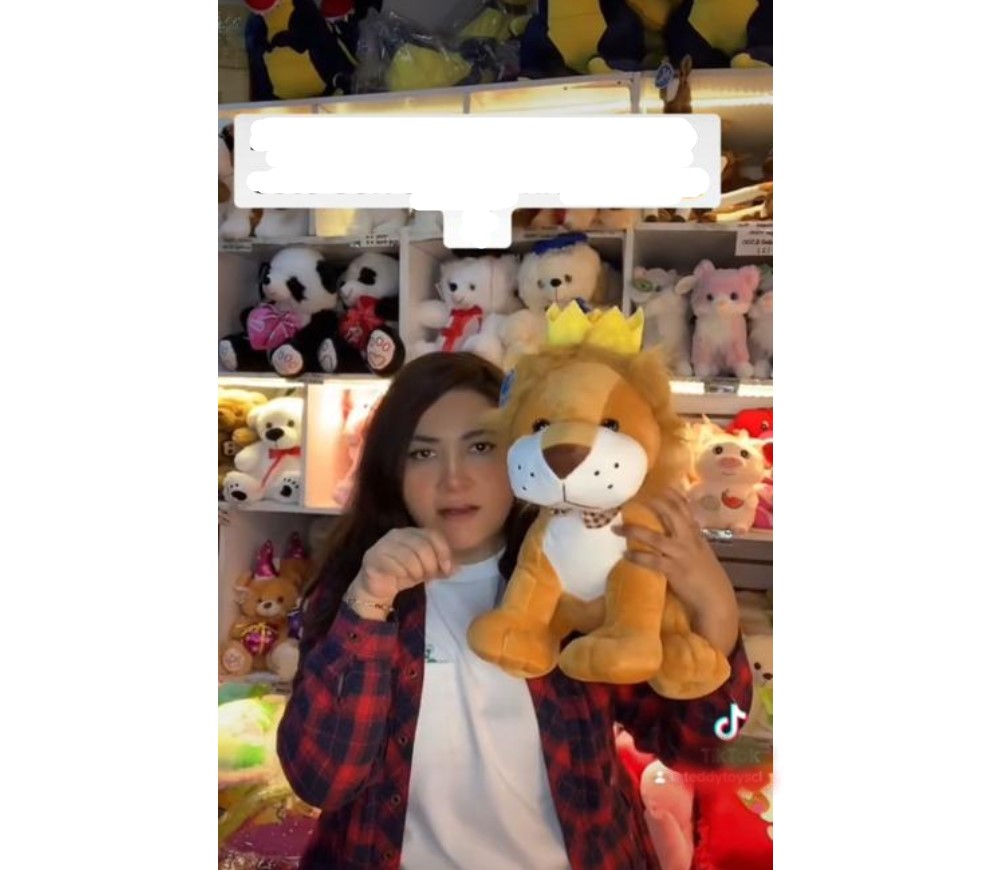 Leones de peluche con corona y musicales 40 cms