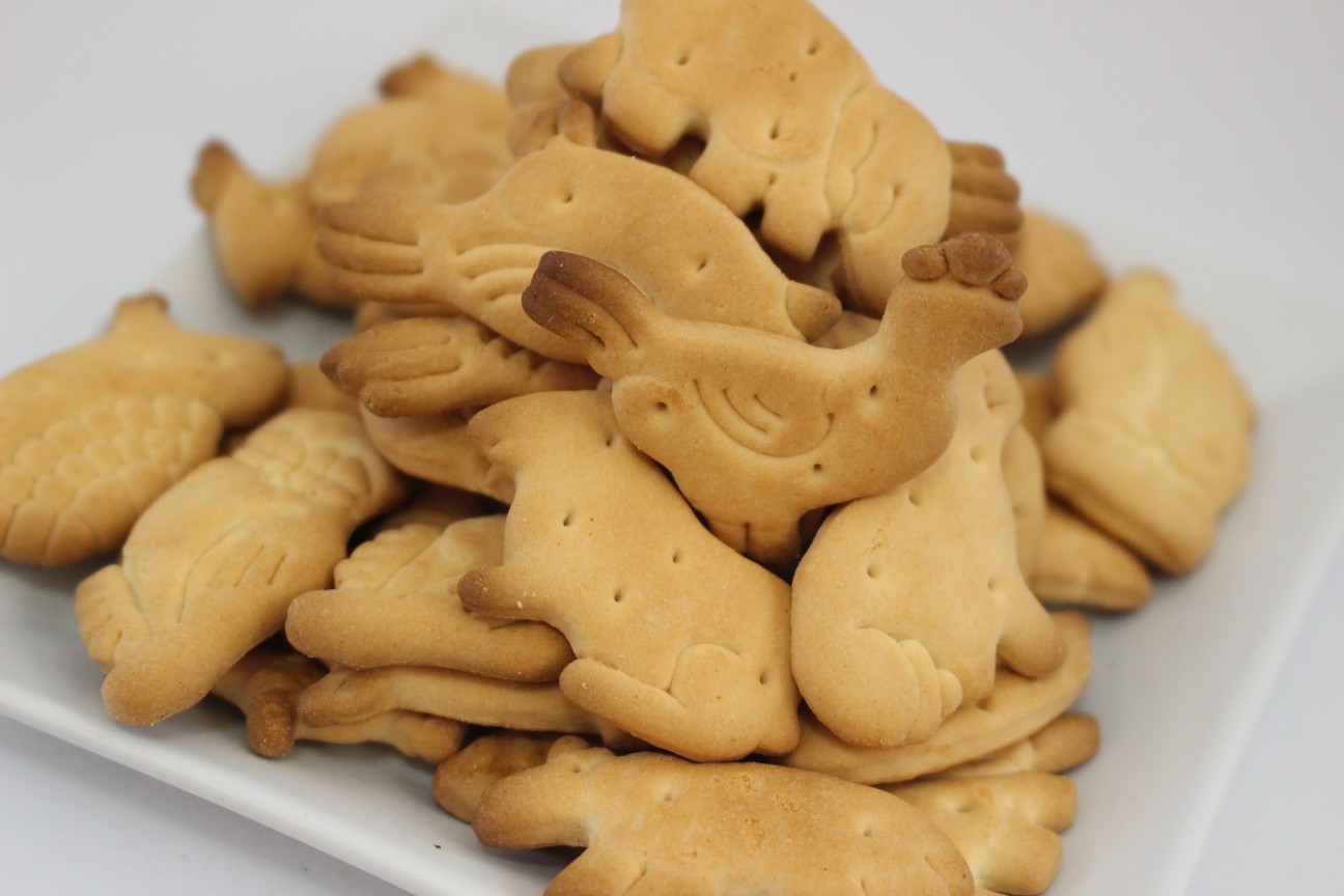 Animal Shaped Biscuit