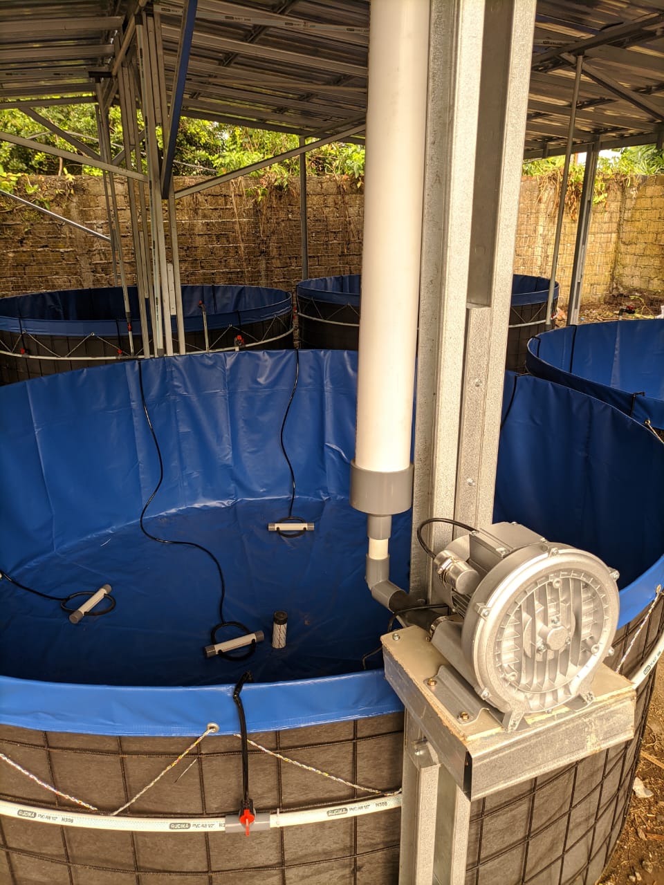 Paket 10 Kolam Bioflok D3