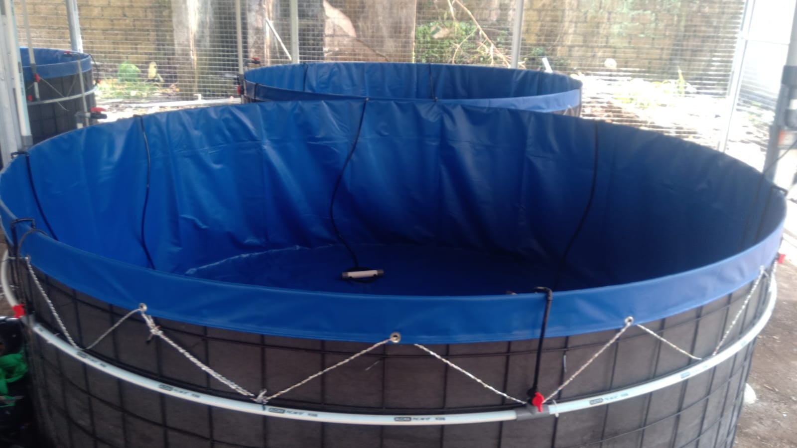 Paket 10 Kolam Bioflok D3