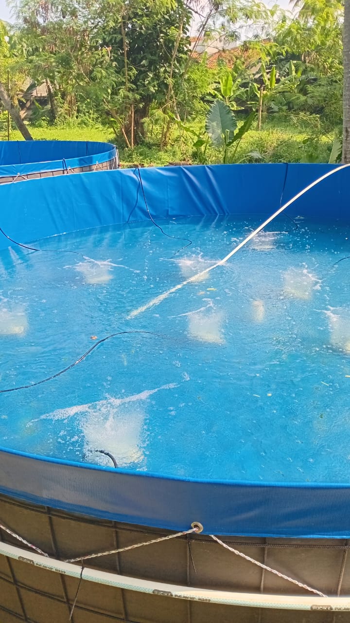 Paket 10 Kolam Bioflok D5