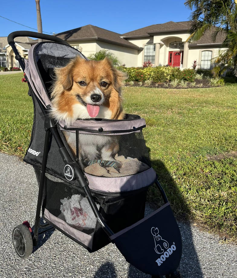 Escort 3 Wheel Dog Cat Pet Stroller for Small/Medium Dogs Cats Best Lightweight Foldable Portable Compact Jogger All Terrain Travel Pet Gear System Puppy Doggie Bunny Kitty Stroller(Grey)