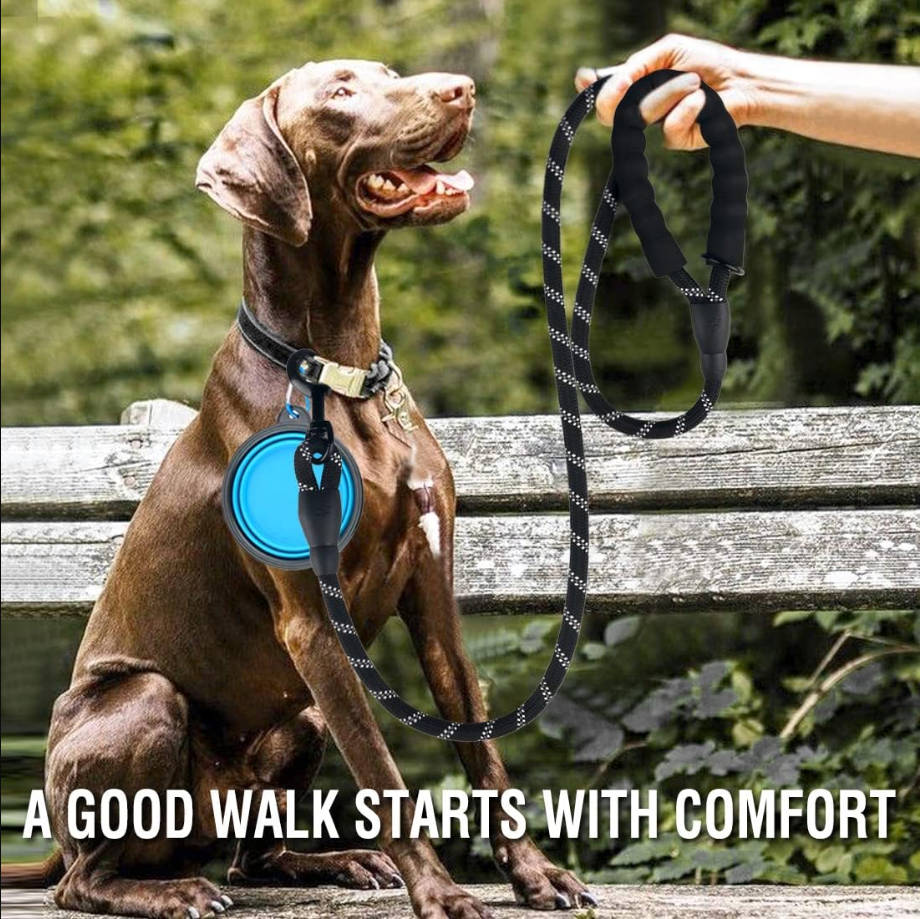 2 Pack Dog Leash 5 FT Heavy Duty - Comfortable Padded Handle - Reflective Dog Leash for Medium Large Dogs with Collapsible Pet Bowl