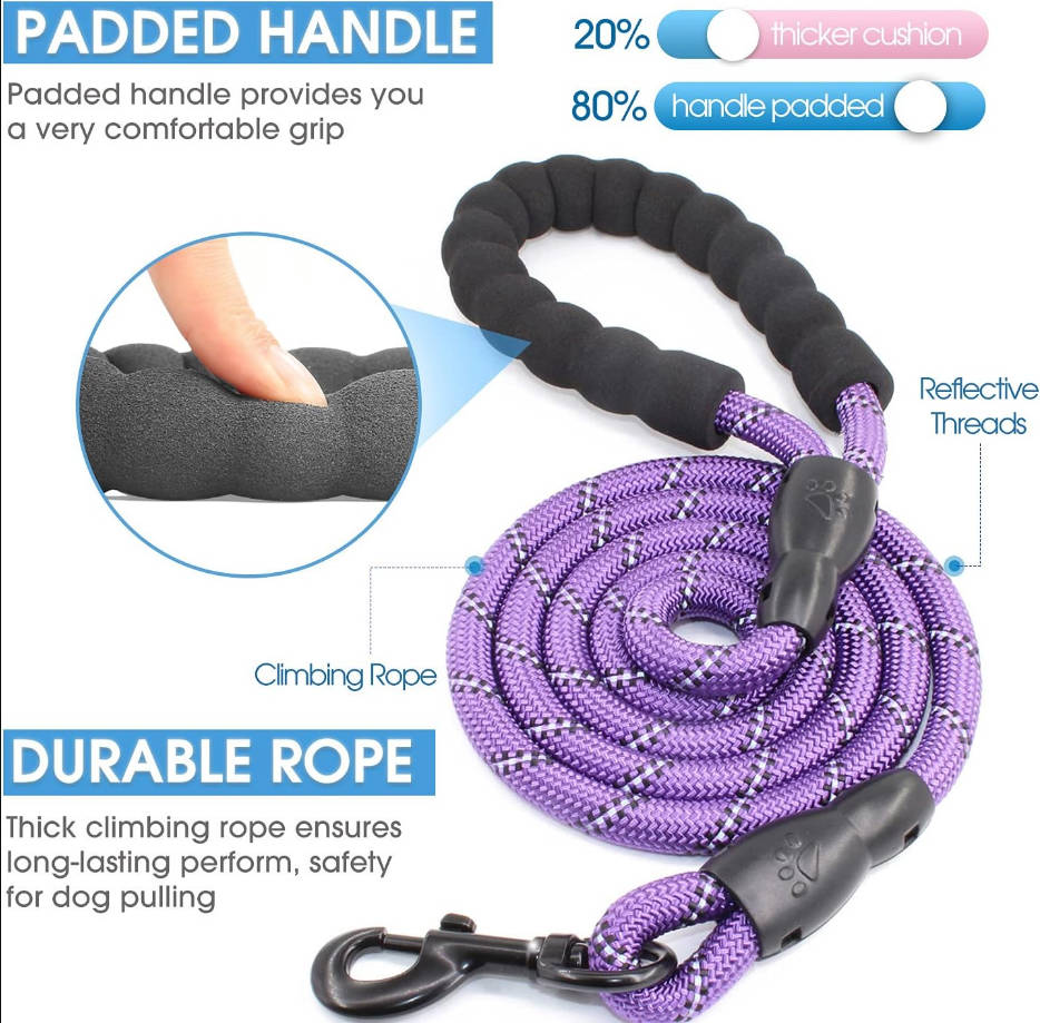 2/4/5/6 FT Dog Leash with Comfortable Padded Handle and Highly Reflective Threads for Small Medium and Large Dogs (5FT-1/2'', Purple)