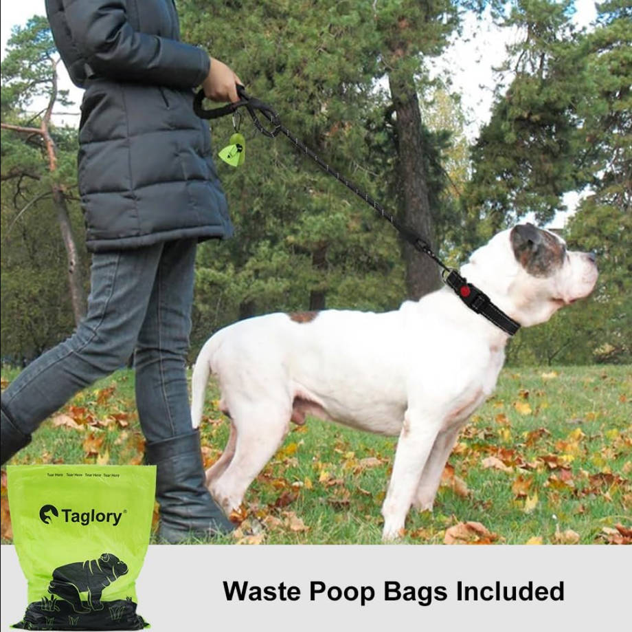 Rope Dog Leash 6 FT with Comfortable Padded Handle, Highly Reflective Threads Leash for Medium Large Dogs, 1/2 inch, Black