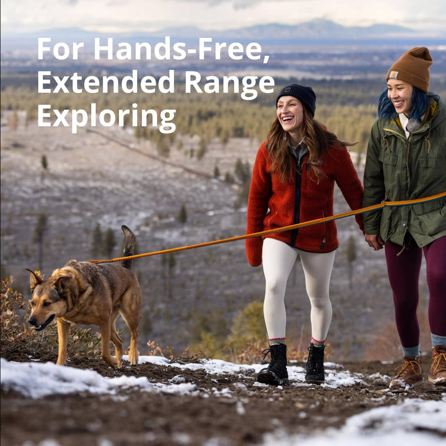 Roamer Bungee Dog Leash for Running, Biking or Hiking, Can be Used Hand-Held or Hands-Free, River Rock Green, 5.5'-7'