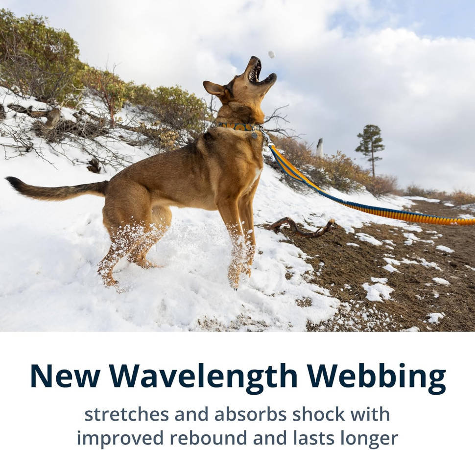 Roamer Bungee Dog Leash for Running, Biking or Hiking, Can be Used Hand-Held or Hands-Free, River Rock Green, 5.5'-7'