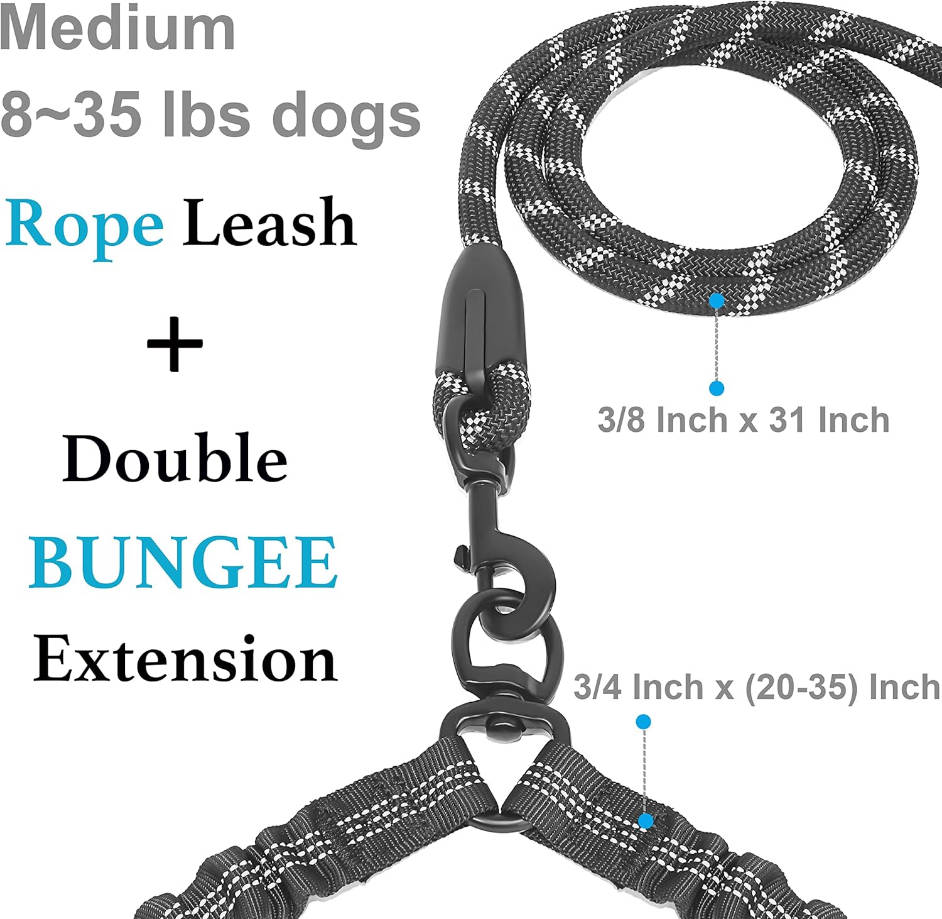 Dual Dog Leash - 360° Swivel, No Tangle Walking Leash with Shock Absorbing Bungee for Two Dogs (Medium, 8-35 lbs, Black)
