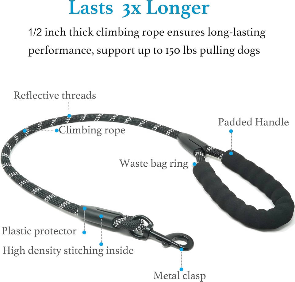 Dual Dog Leash - 360° Swivel, No Tangle Walking Leash with Shock Absorbing Bungee for Two Dogs (Medium, 8-35 lbs, Black)