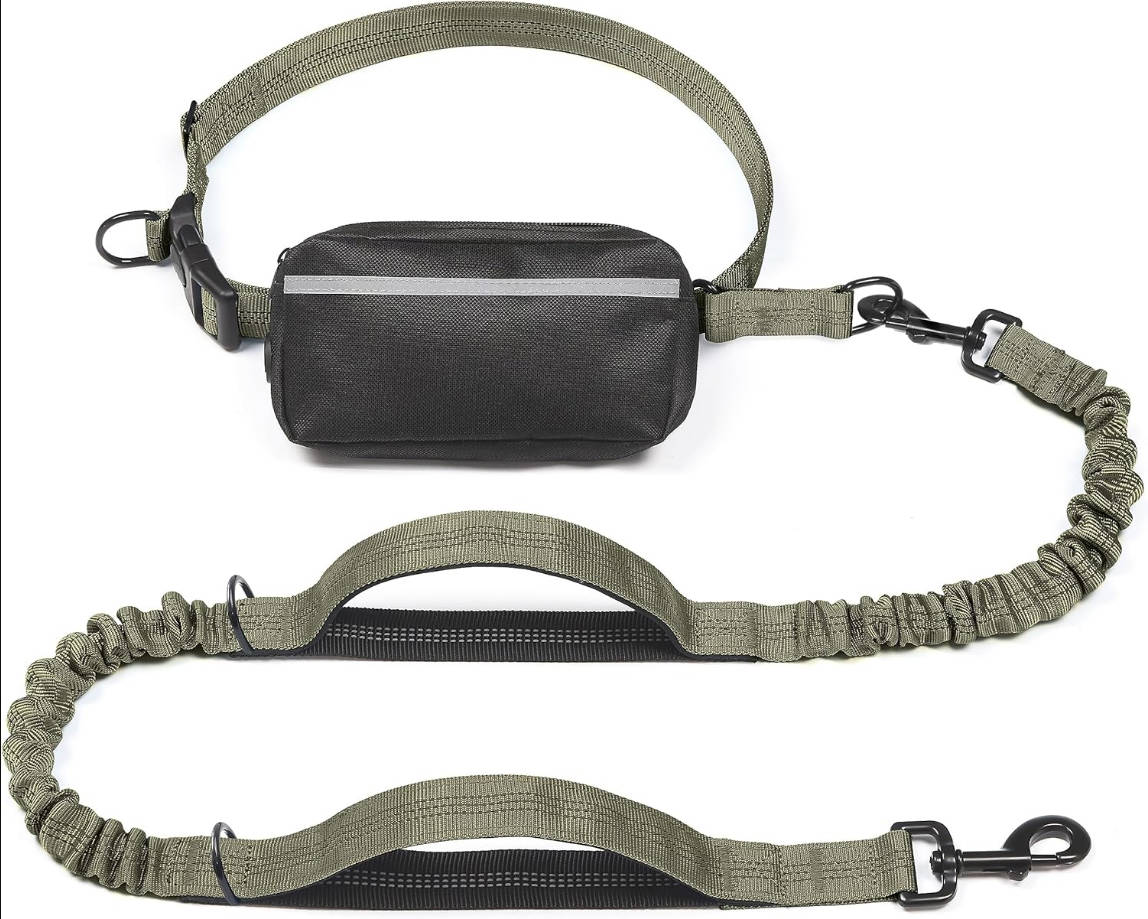Hands Free Dog Leash with Zipper Pouch, Dual Padded Handles and Durable Bungee for Walking, Jogging and Running Your Dog (Large, 25-120 lbs, Military Green)