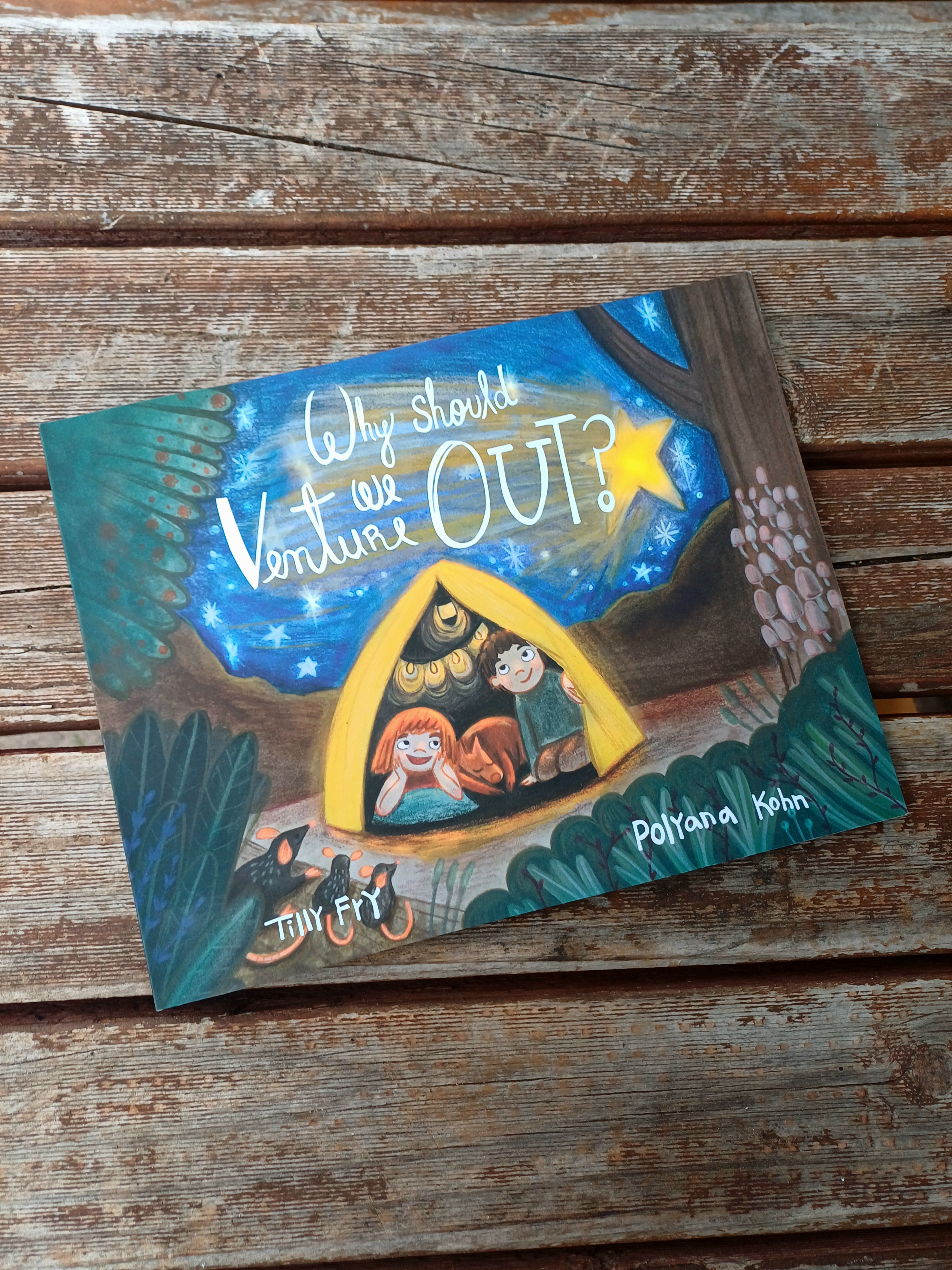 Why Should We Venture Out? - Paperback