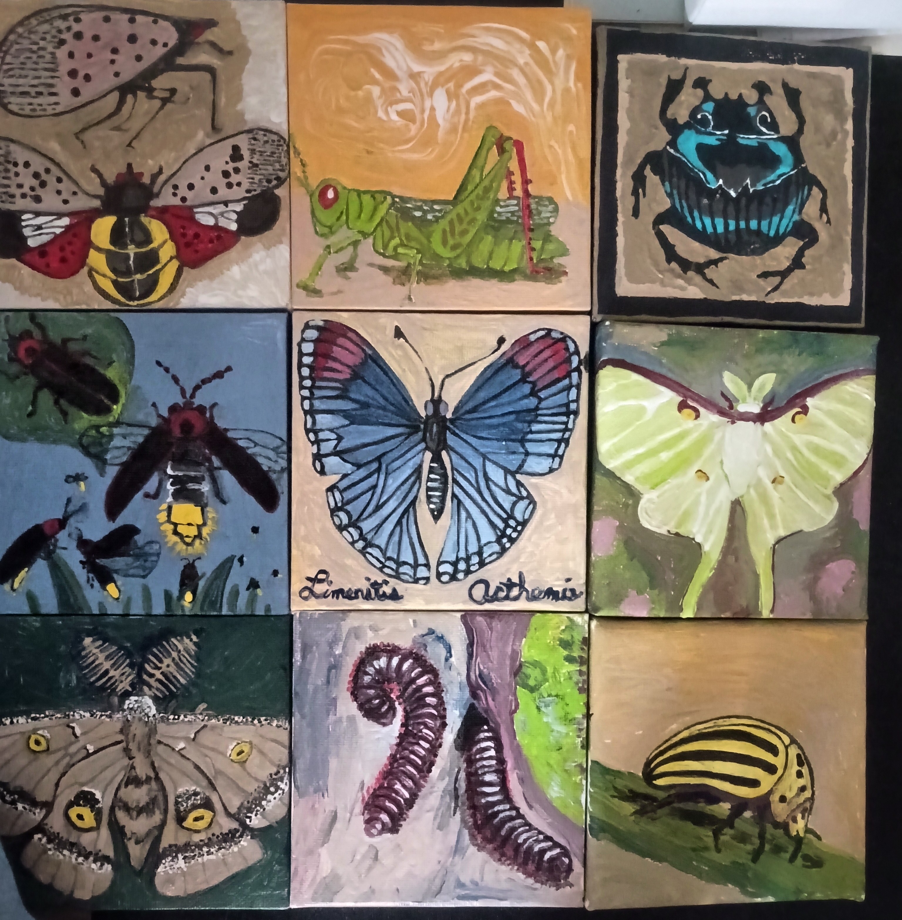 East Coast Insects-Miniature Art Collection
