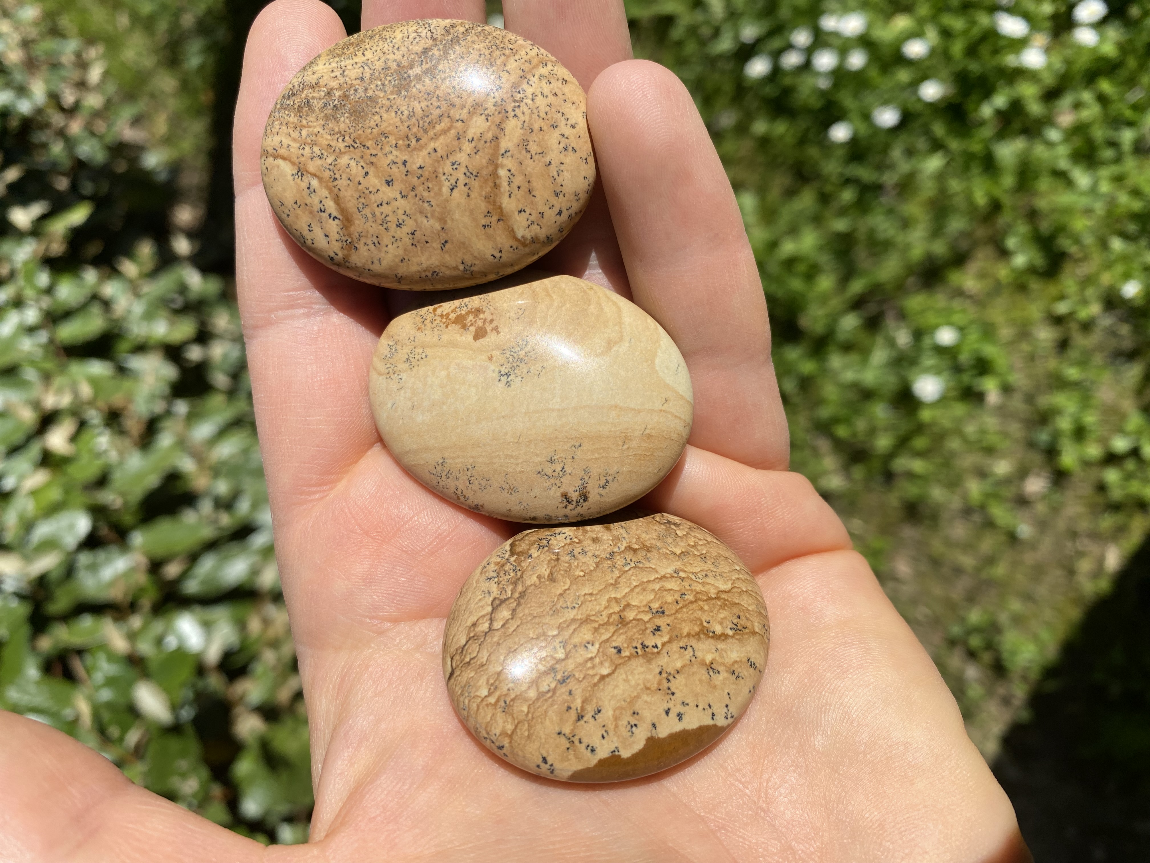 Galet en jaspe paysage 