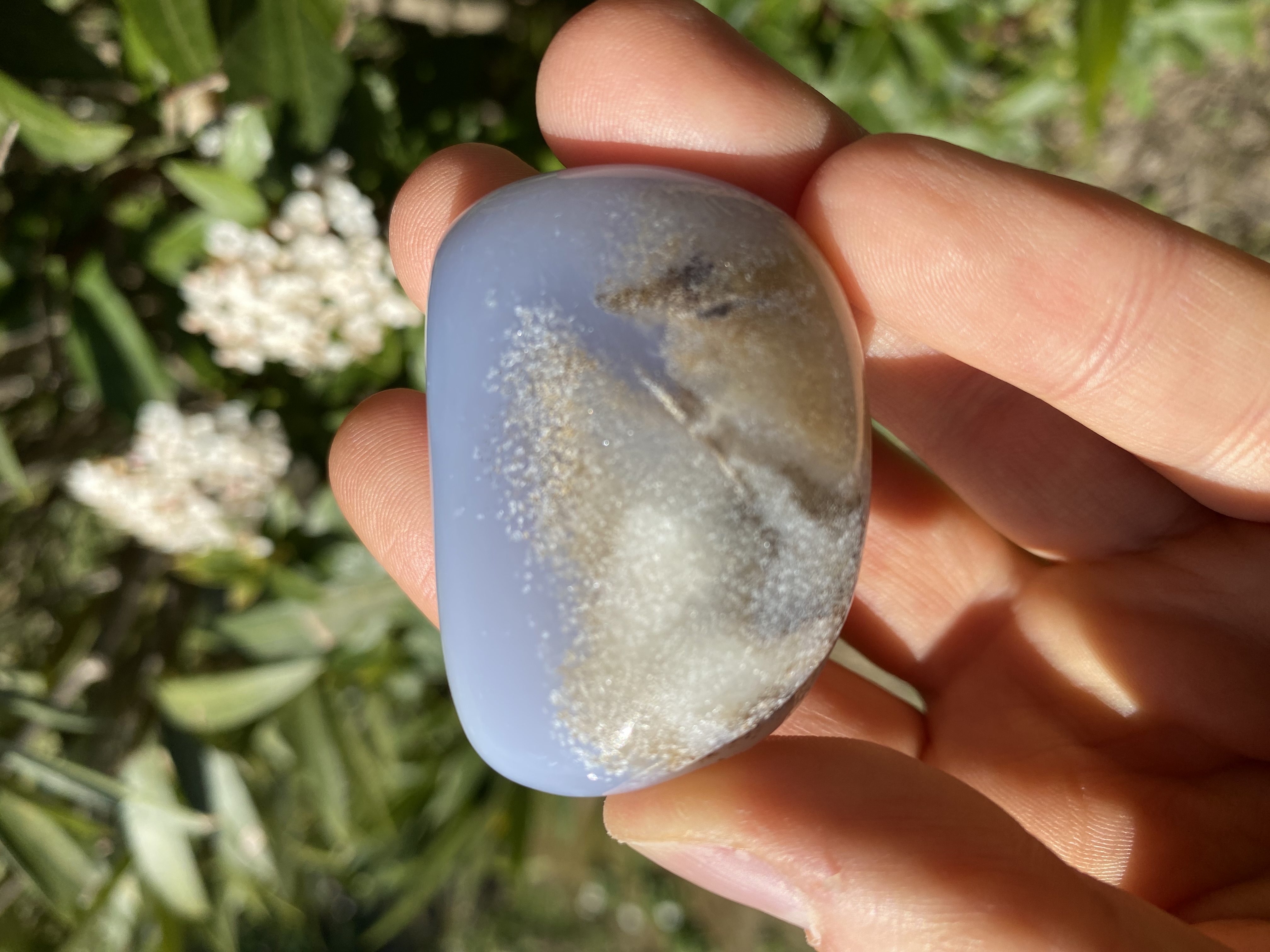 Calcédoine dendritique 