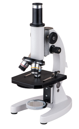 Compound Microscope