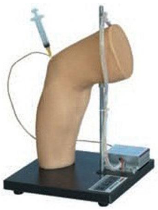 Knee Joint Injection Training Model