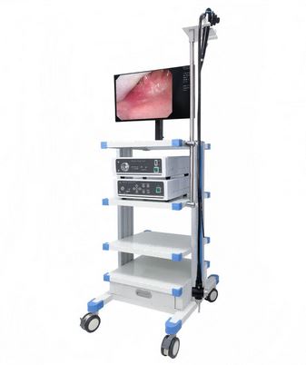 ECV-600 Video Colonoscope 