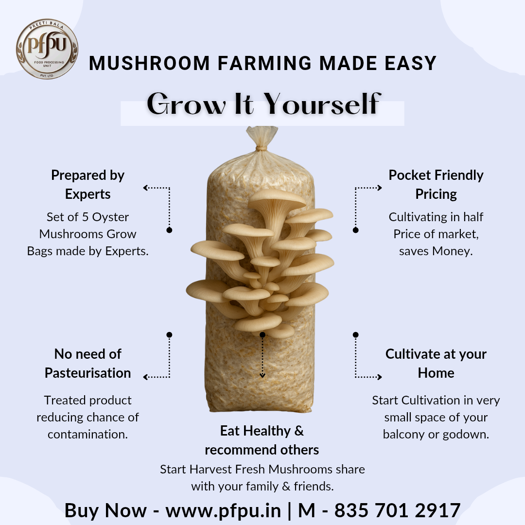 Oyster Mushroom Grow Bags