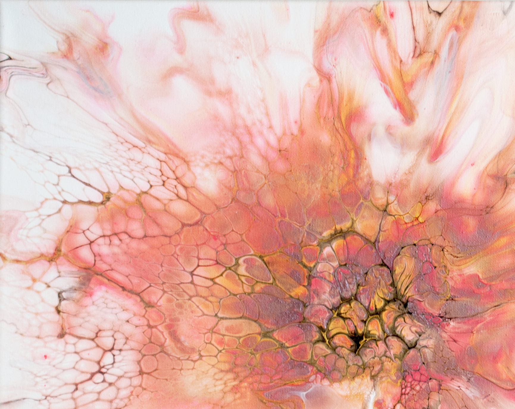  ‘Zinnia’ Abstract Fluid Art (16x20" standard canvas)