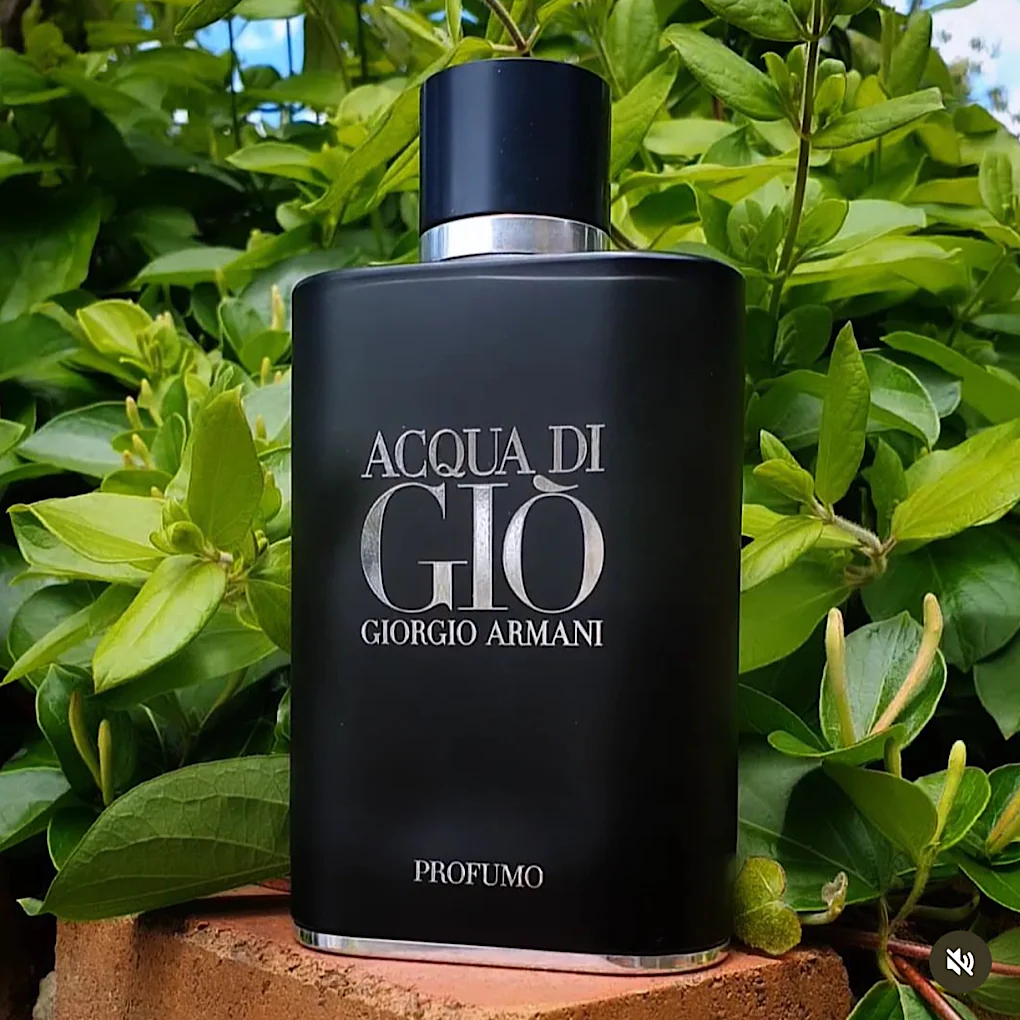 Perfume Acqua Di Gio Profumo 100ml 1.1 Premium