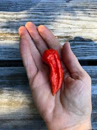 Nicobena Naga King Super Hot Pickle 120g