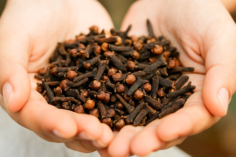 Cloves (CG2)