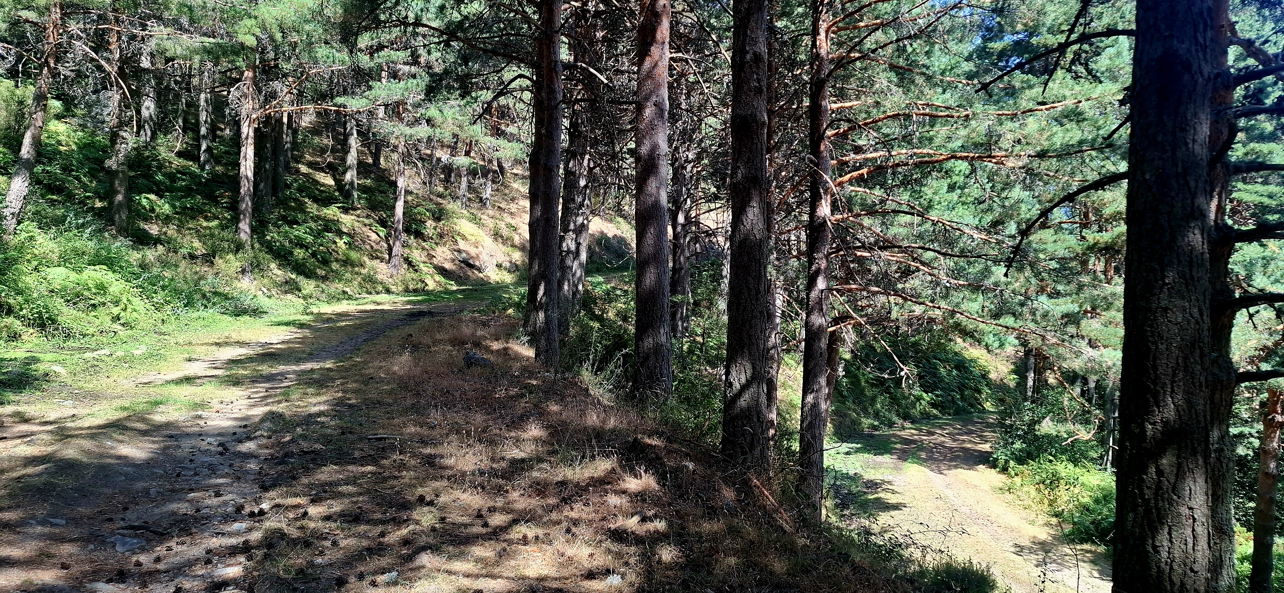 Ruta 5 – Las Zetas de la Pedriza