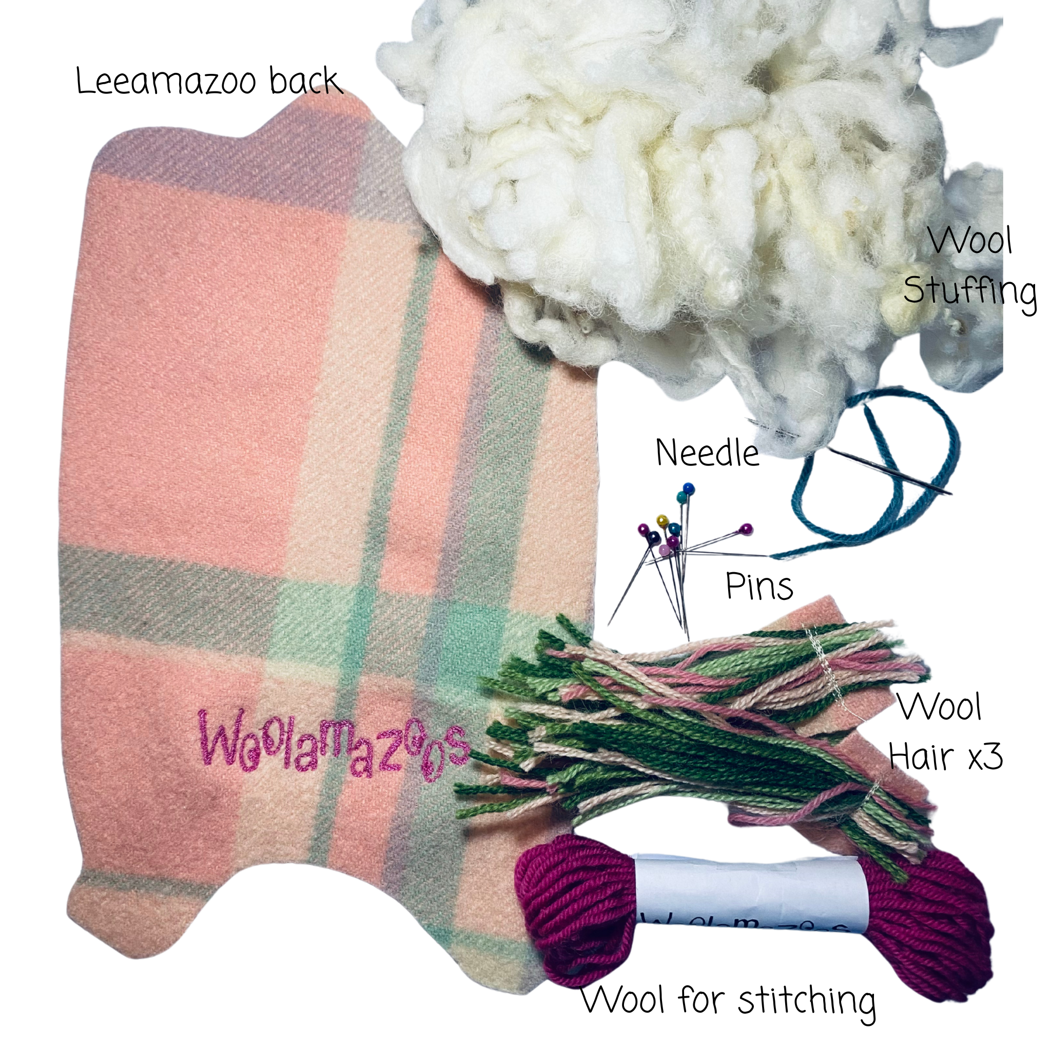 Princess Leeamazoo kit pink with coloured hair