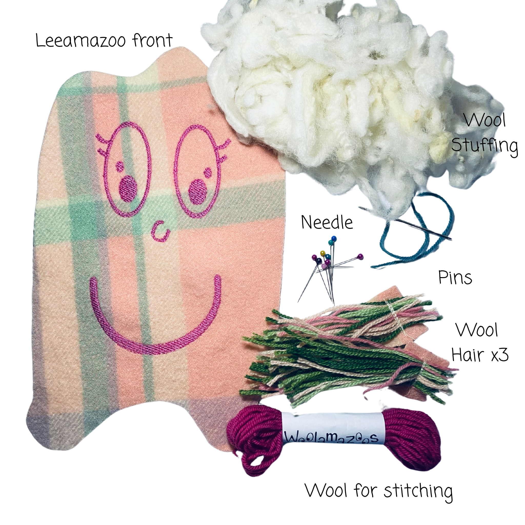 Princess Leeamazoo kit pink with coloured hair