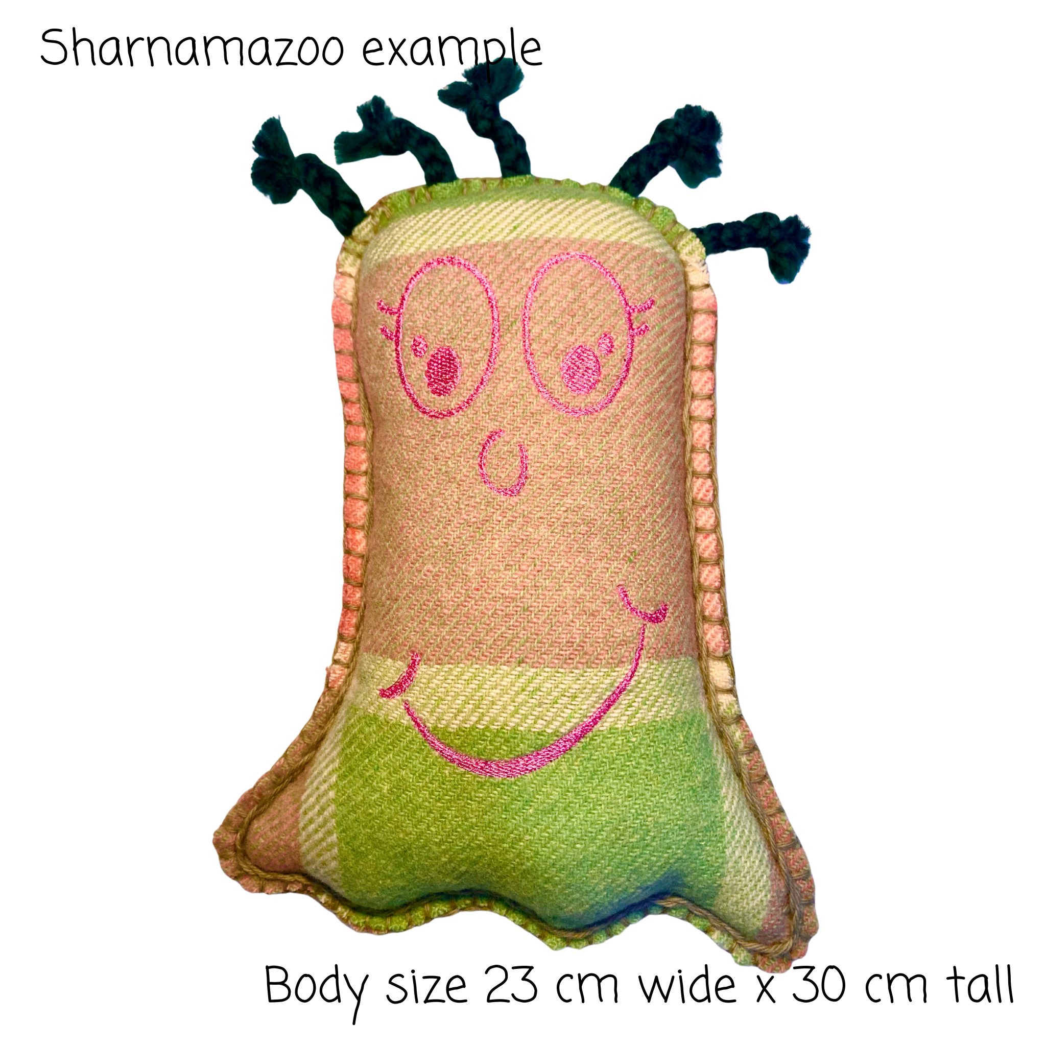 Sharnamazoo kit multi-coloured with green hair